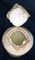 Opening a Thai Coconut